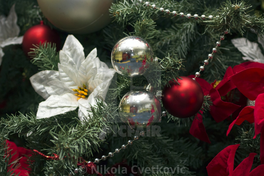 Christmas Decorations License Download Or Print For 5 00 Photos Picfair