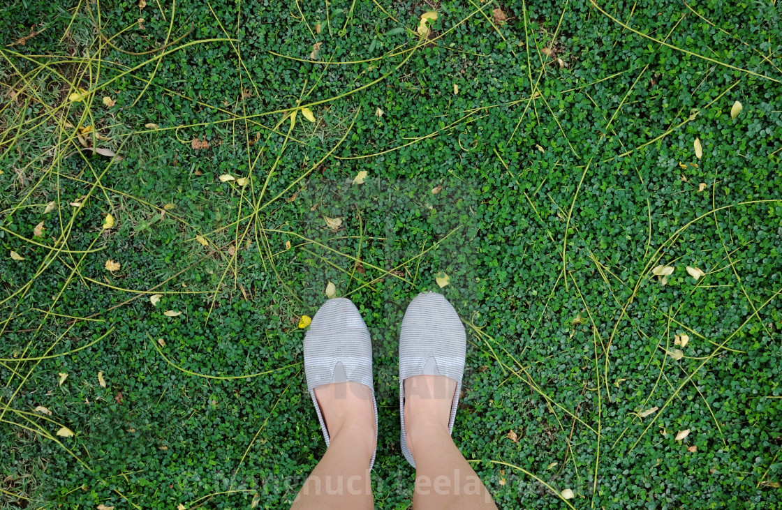 Selfie Of Feet And Shoes On Green Grass Background In The Garden License Download Or Print For 24 80 Photos Picfair With background changer you can easily remove or change the background of any image and you can also save image as transparent image in jpg or png form or you can add image by using the background changer add image feature.by using background. https www picfair com pics 08202582 selfie of feet and shoes on green grass background in the garden