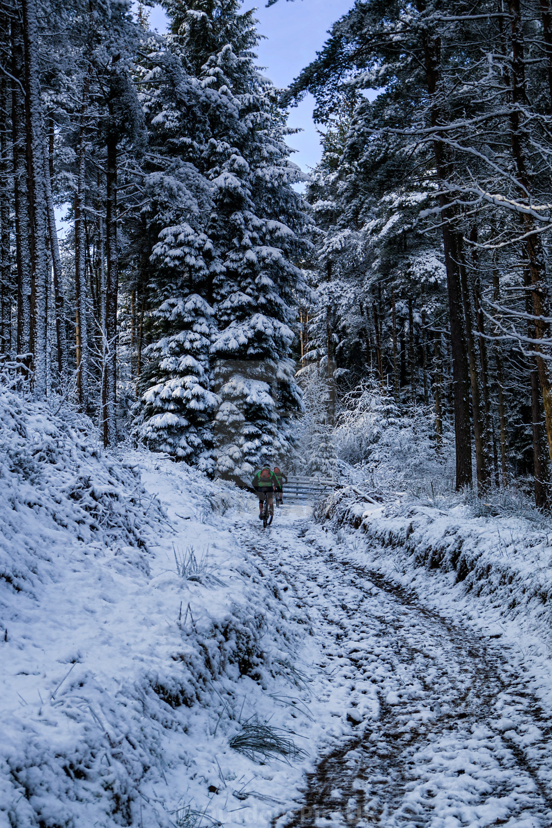 "On the trail" stock image