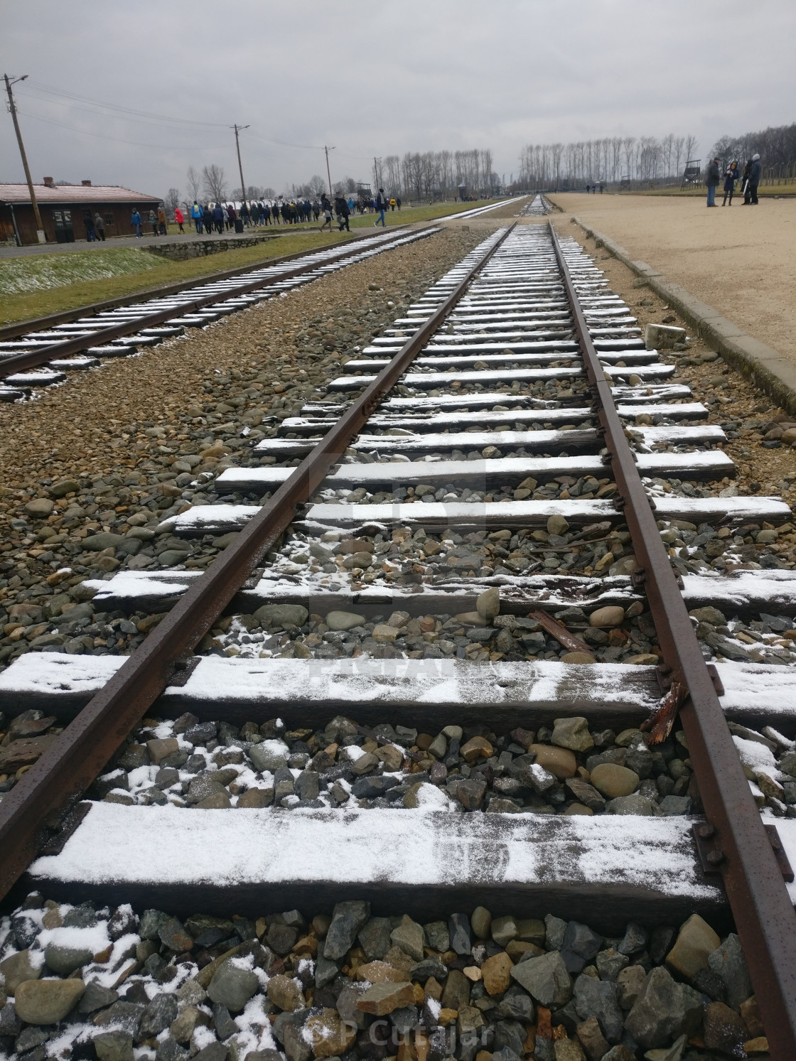 P Cutajar S Photography Portfolio Licence Download Or Print Amazing Stock Images Users Picfair