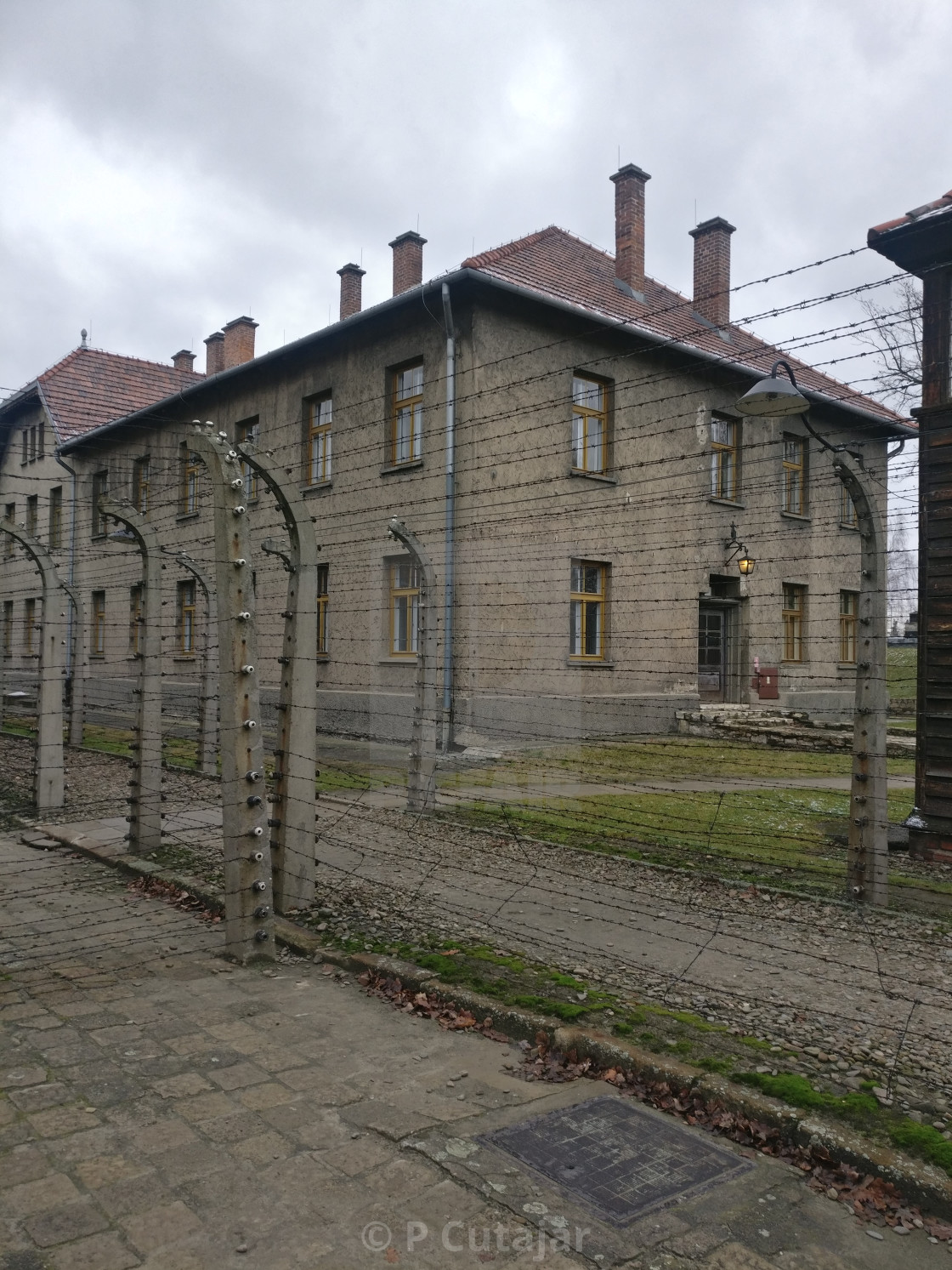 P Cutajar S Photography Portfolio Licence Download Or Print Amazing Stock Images Users Picfair