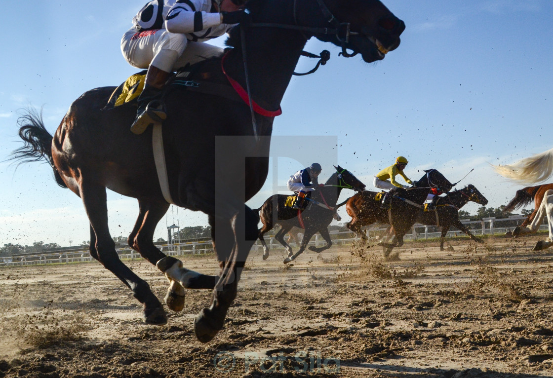 "Up Close" stock image