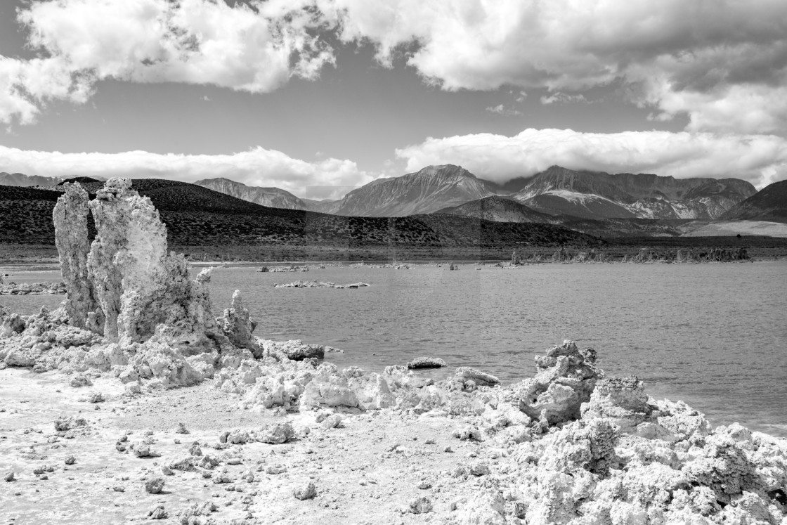 "Mono Lake #19" stock image