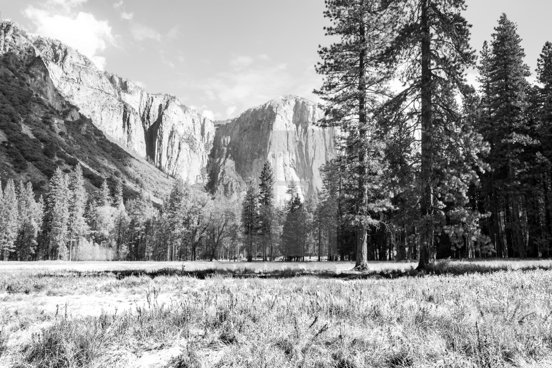 "Yosemite #4" stock image