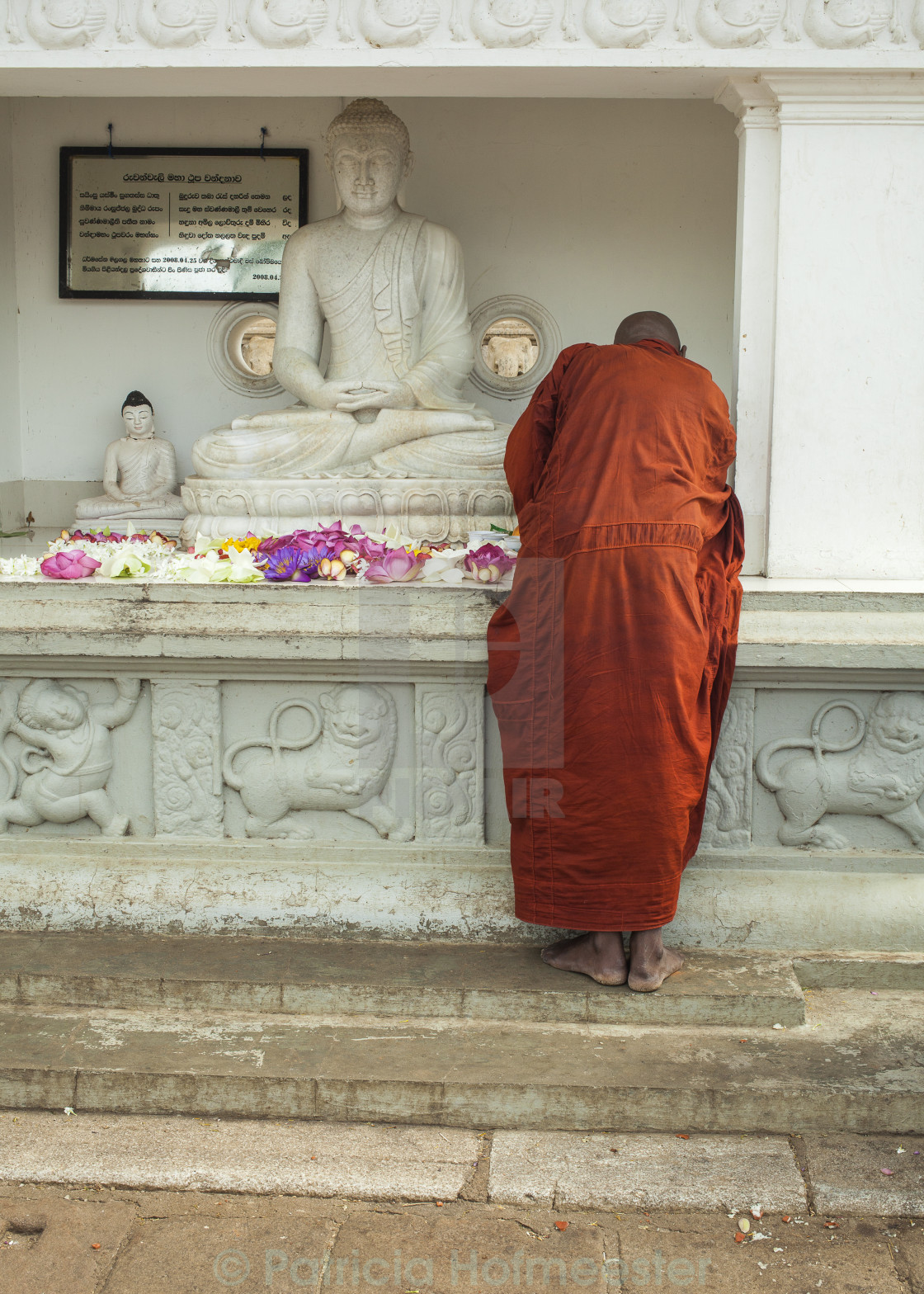 "Buddhist monk praying" by Patricia Hofmeester - £12.40 "Buddhist monk praying" stock image