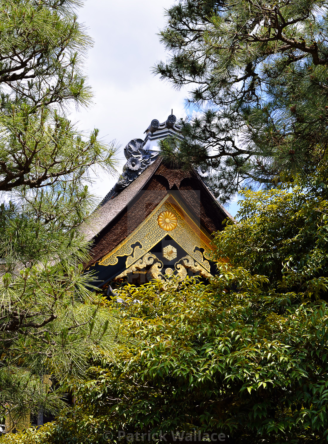 Closeup Of Roof Japanese Palace License Download Or Print For 12 40 Photos Picfair