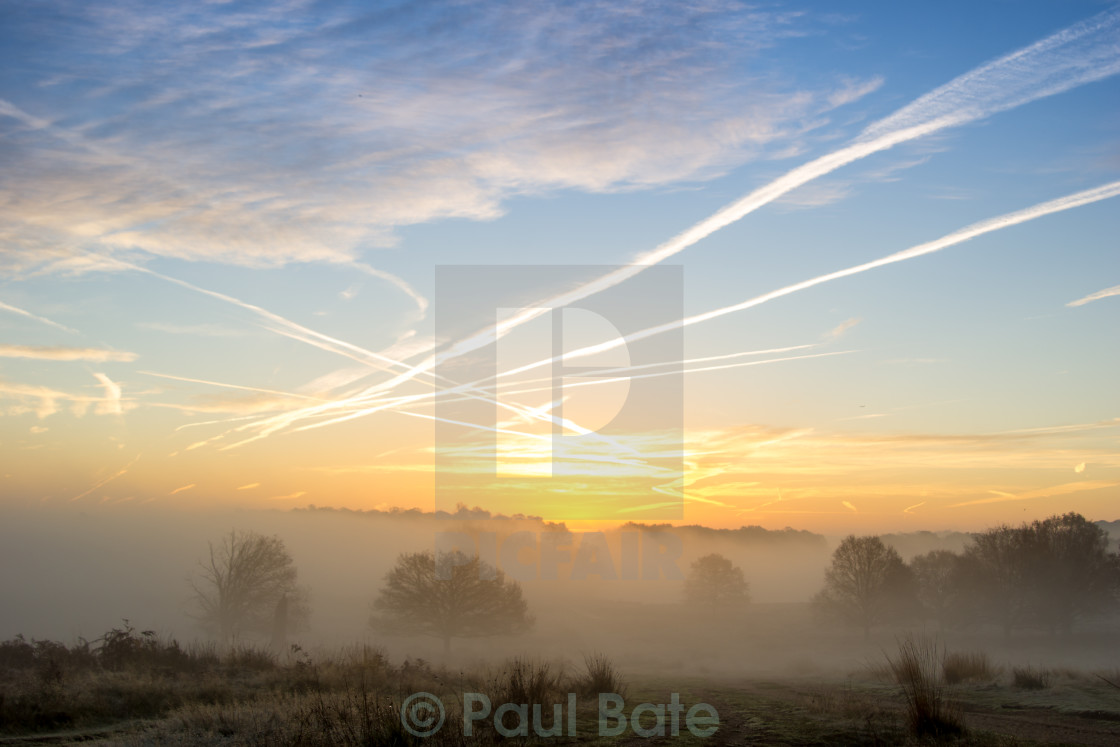 "Misty Sunrise" stock image