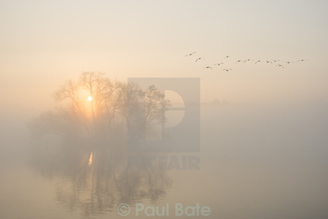 "Misty Landscape" stock image