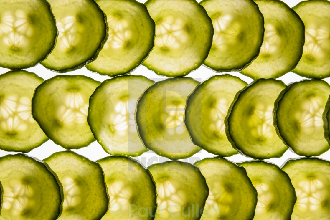 "Sliced Cucumber background opposing" stock image