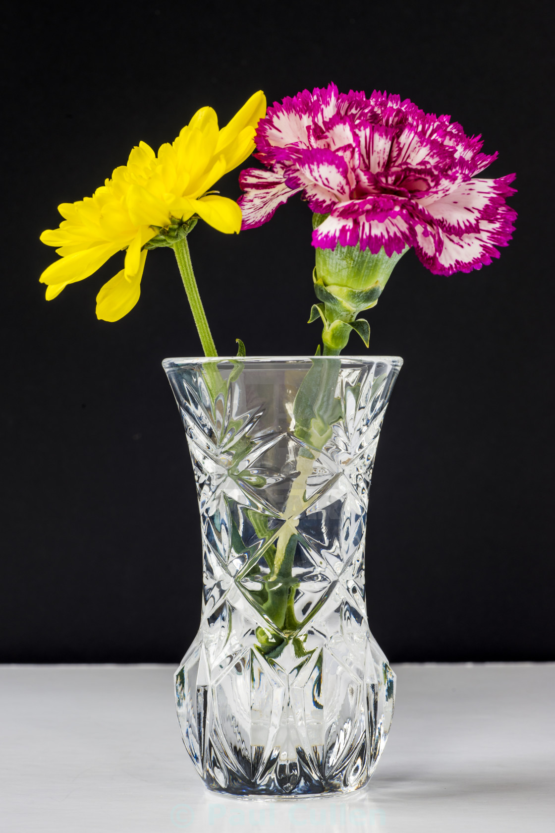 "Chrysanthemums and Carnation in a lead crysal vase." stock image