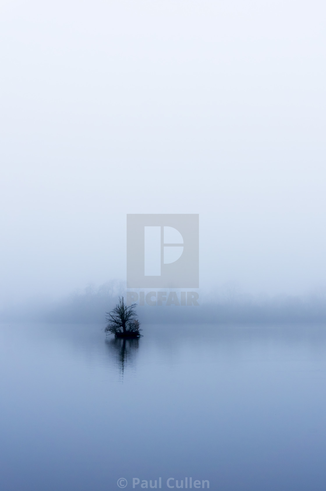 "Minimalist Tree in the fog." stock image