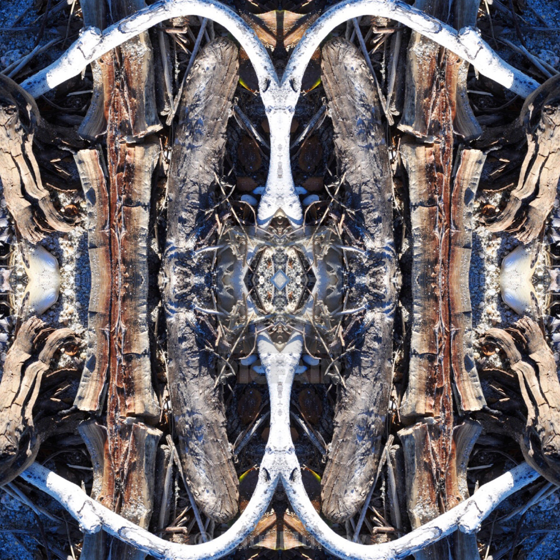 Artofnaturemontage Detritus License Download Or Print For 25 00 Photos Picfair