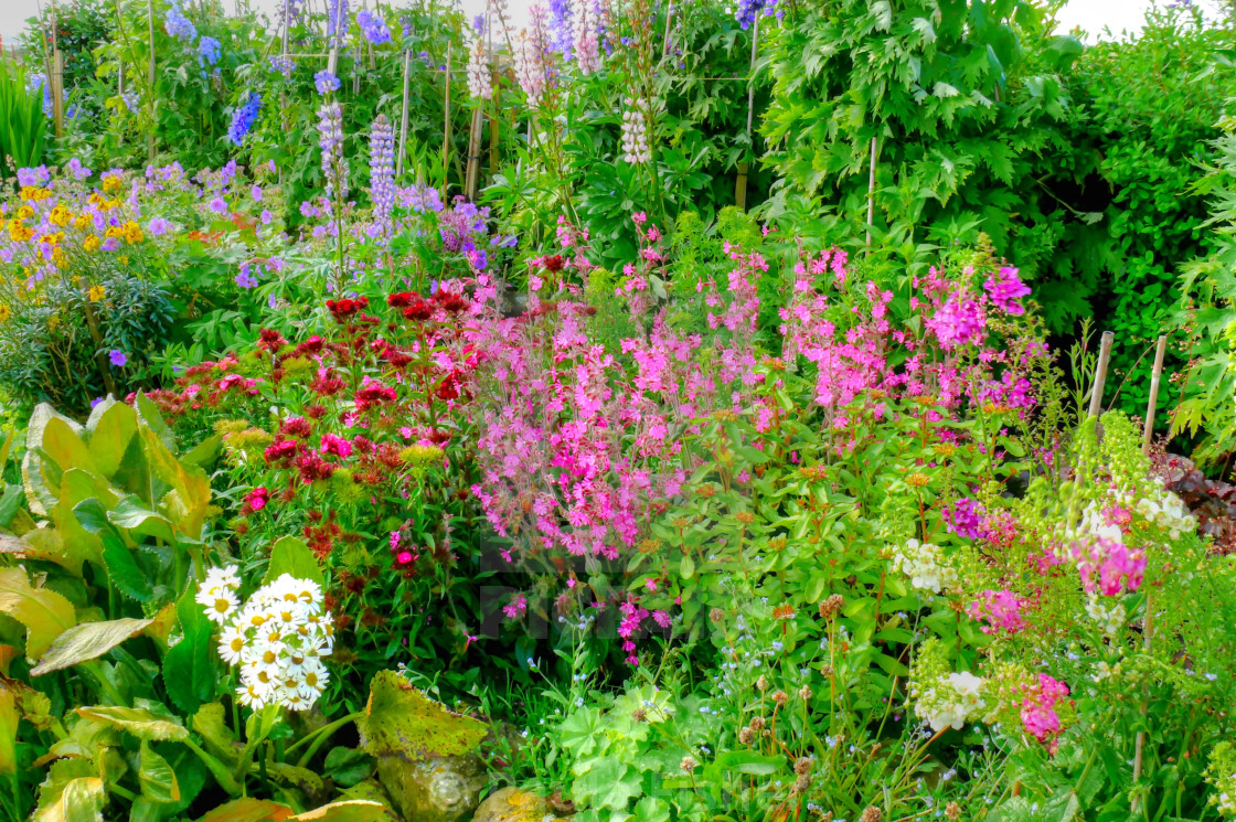 A Country Cottage Garden License Download Or Print For 12 40