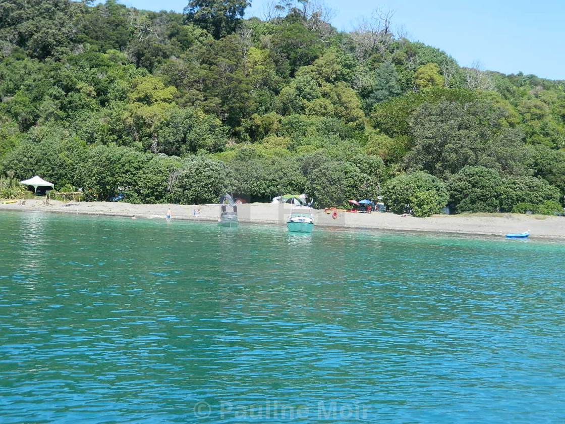 "Hauraki Gulf Island NZ" by Pauline Moir - £2.48 "Hauraki Gulf Island NZ" stock image