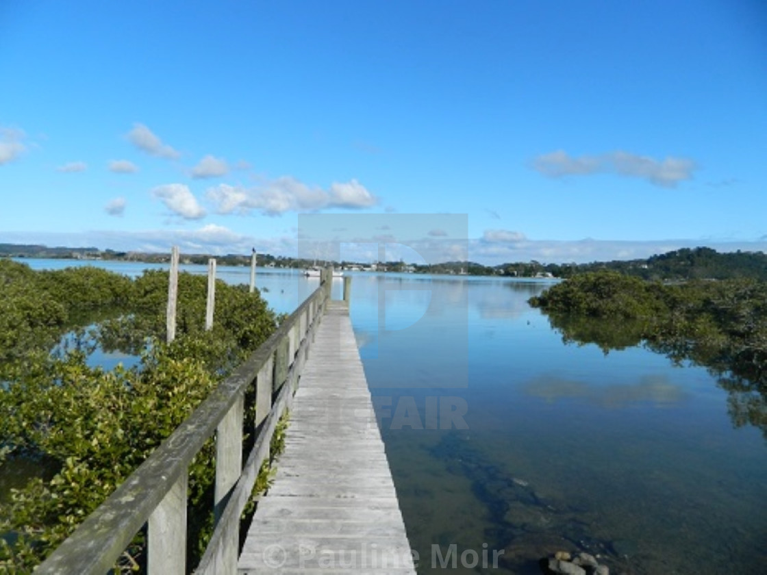 "Scenic NZ image with Mangroves." by Pauline Moir - £1.24 "Scenic NZ image with Mangroves." stock image