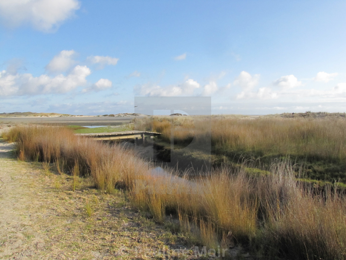 "Pakiri Beach North Auckland" by Pauline Moir - £1.24 "Pakiri Beach North Auckland" stock image