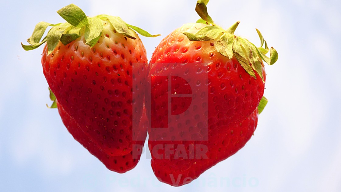 "The Strawberries" stock image