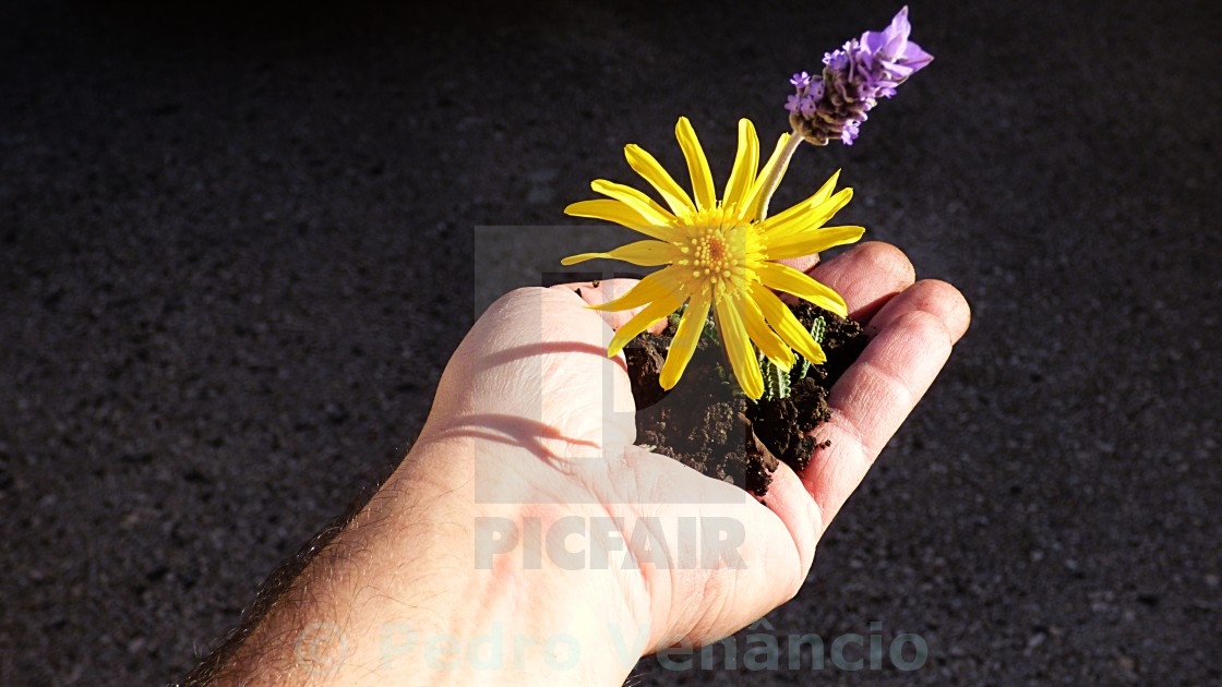 "Holding Earth and flowers" stock image