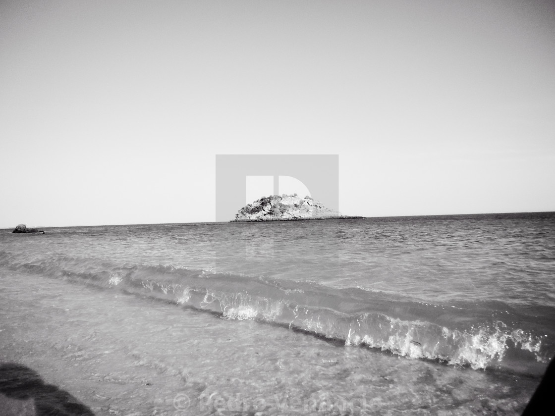 "Beach and Nature close up wave" stock image