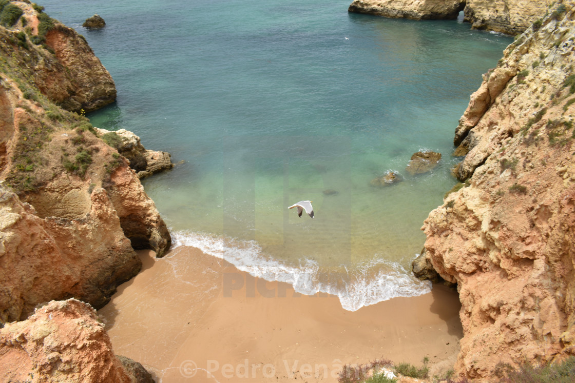 "rocky coast beach and nature" stock image