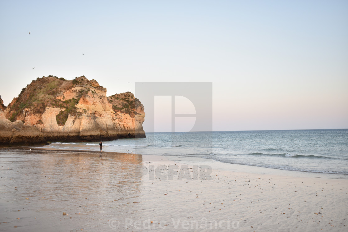 "rocky coast beach and nature" stock image