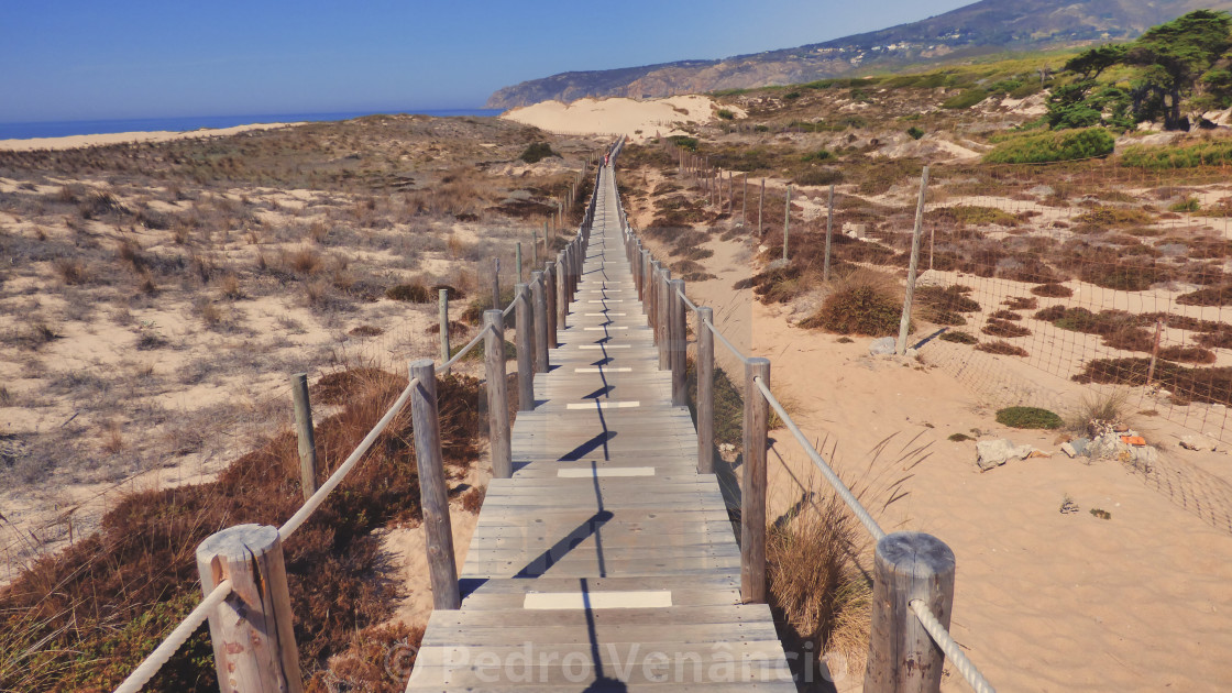 "wooden walkway to beach walk" stock image