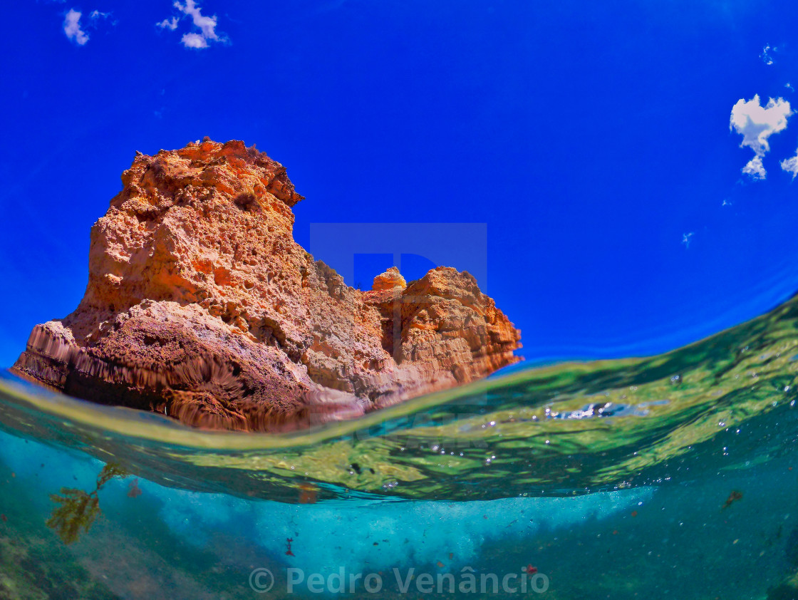 "UNDERWATER ROCK AND SEA" stock image