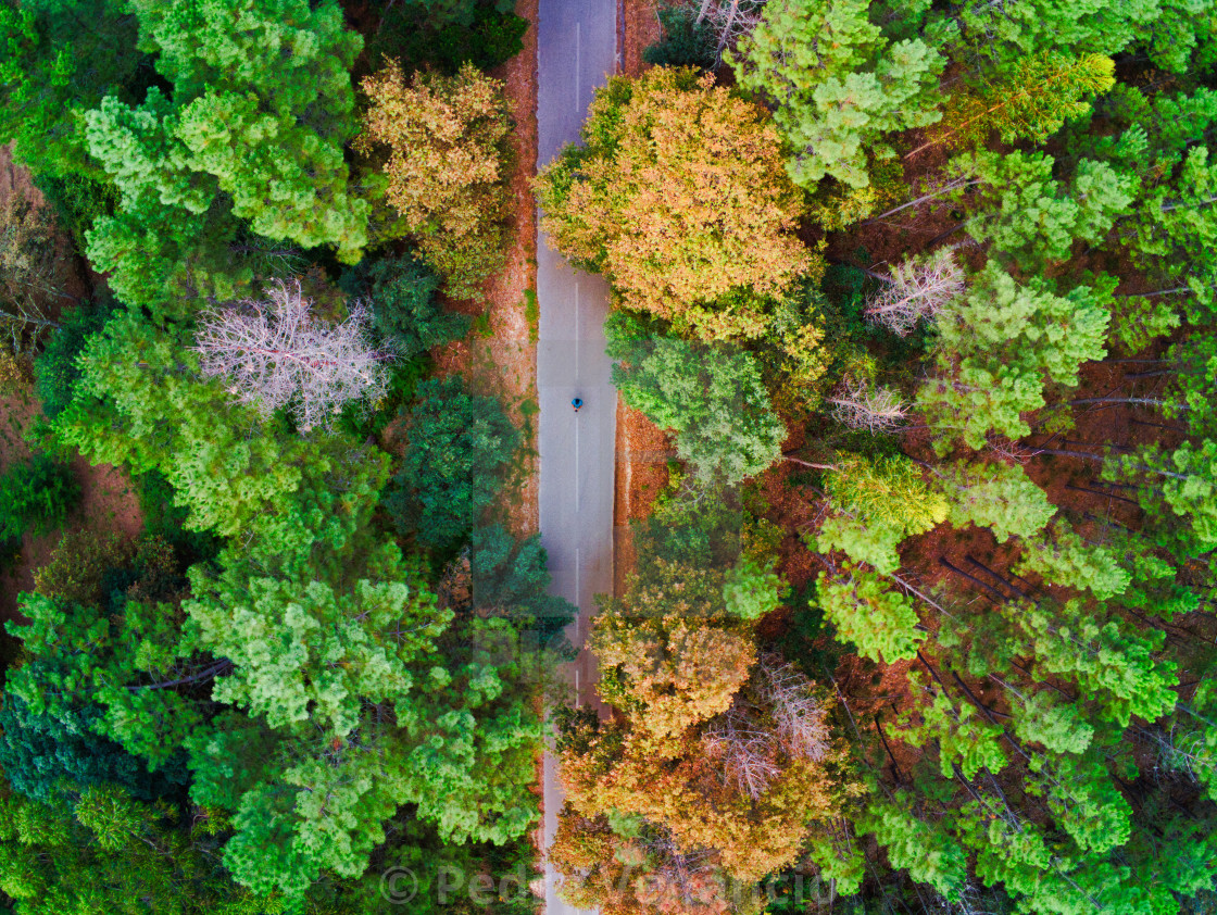 "View of a forest road from above" stock image