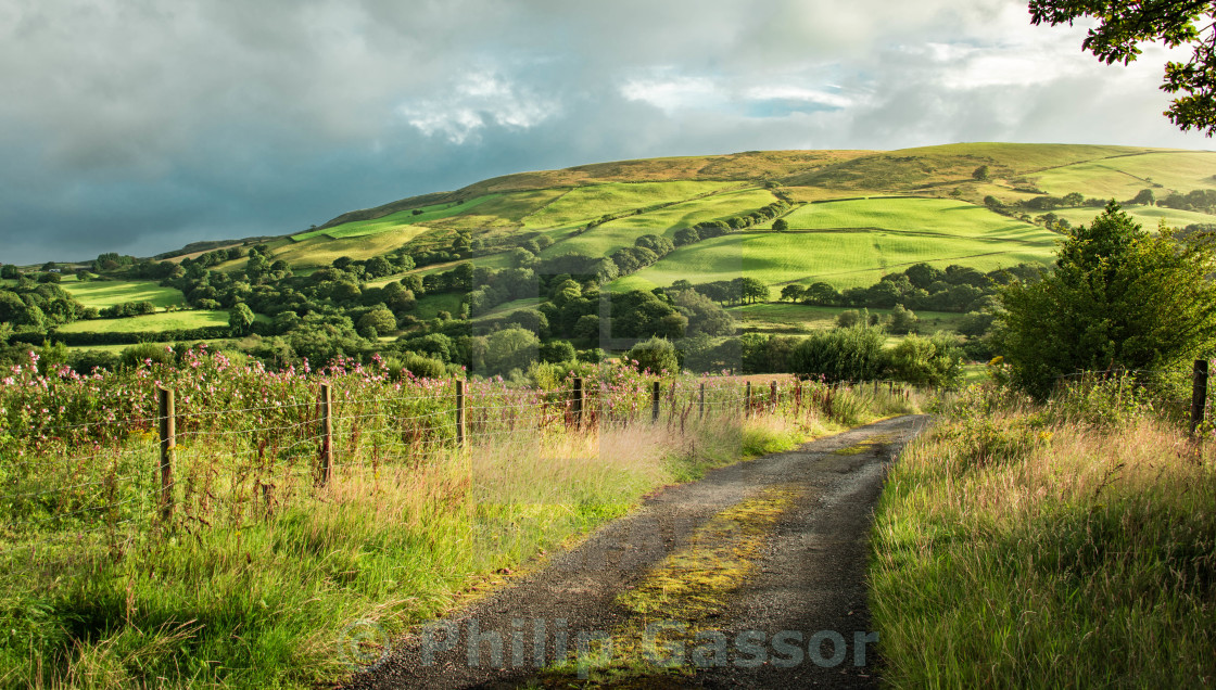 "Summer morning." stock image