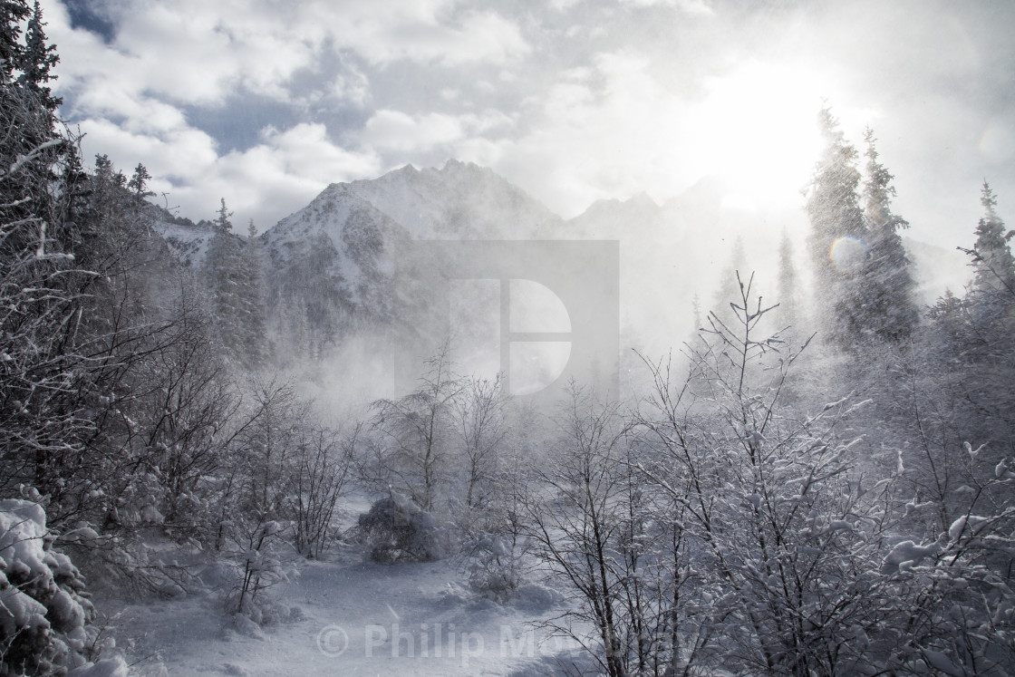 "Ala Archa National Park, Kyrgyzstan" by Philip Mowbray - $12.31 "Ala Archa National Park, Kyrgyzstan" stock image