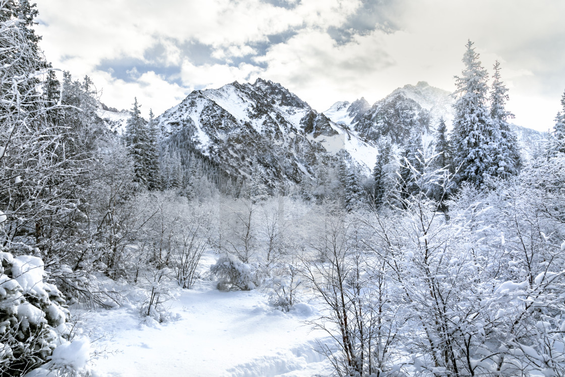 "Ala Archa National Park, Kyrgyzstan" by Philip Mowbray - $12.31 "Ala Archa National Park, Kyrgyzstan" stock image