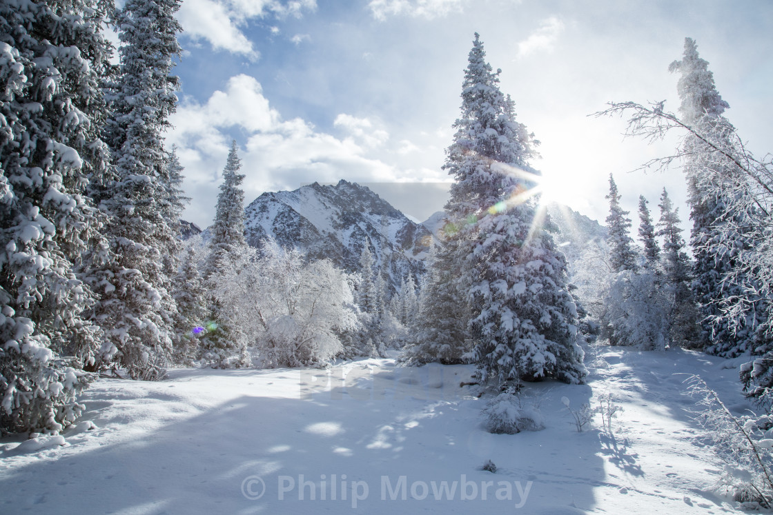 "Ala Archa National Park, Kyrgyzstan" by Philip Mowbray - $12.31 "Ala Archa National Park, Kyrgyzstan" stock image