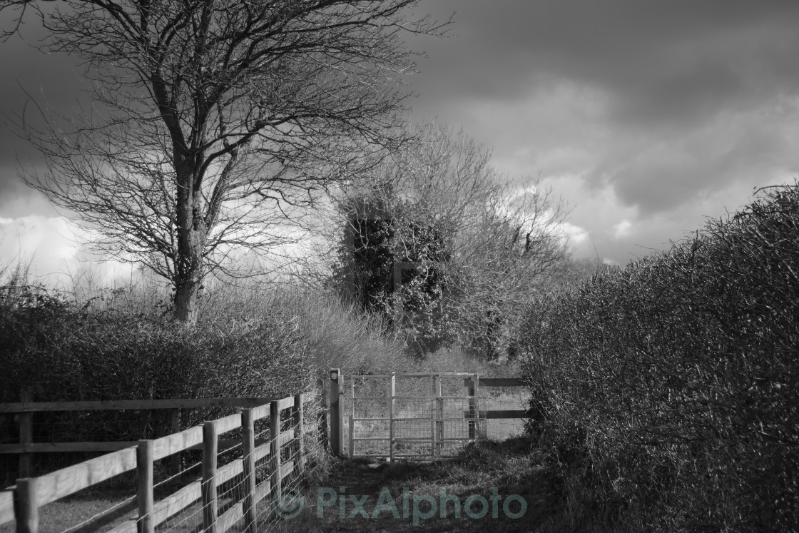 "Stormy Sky" stock image