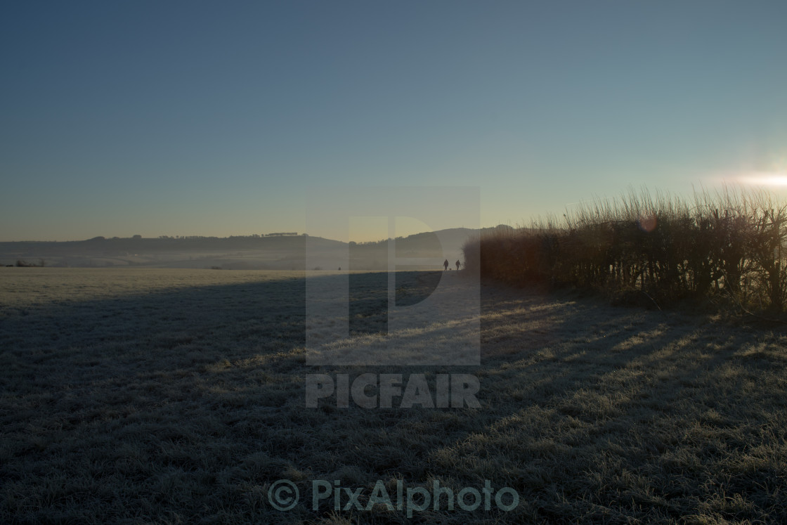 "Winter Walk" stock image