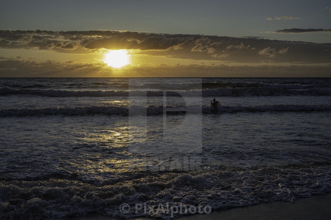 "Swimming At Sunset" stock image