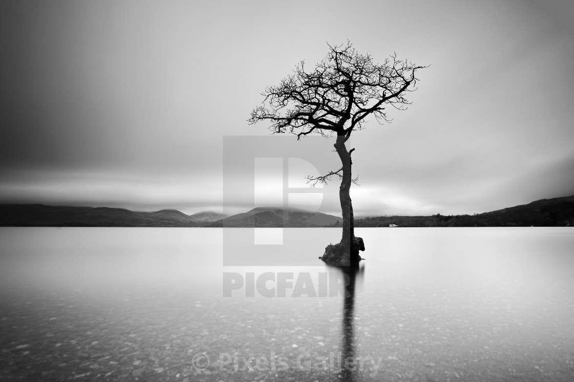 "Milarrochy bay" by Pixels Gallery - £49.60 "Milarrochy bay" stock image