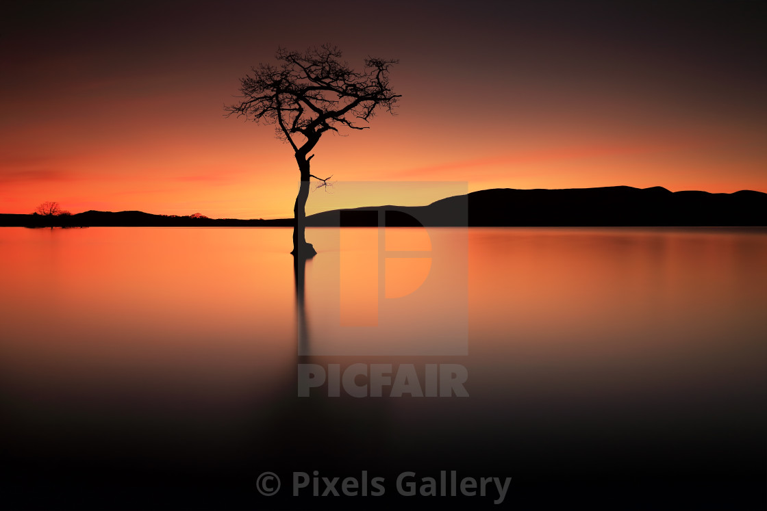 "Loch Lomond Afterglow" stock image