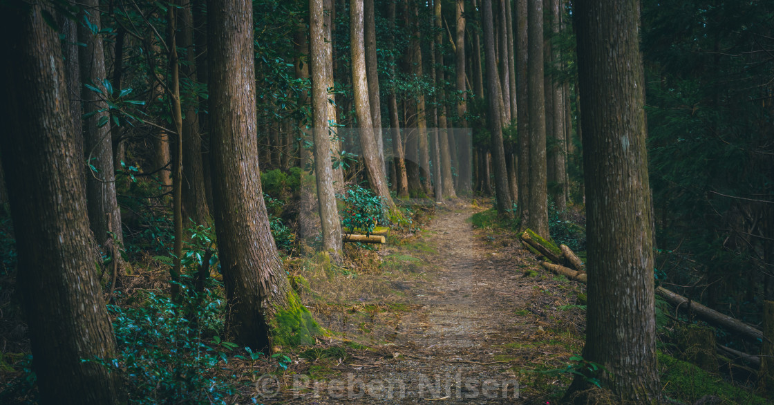 Kumano Kodo Japan License Download Or Print For 18 60