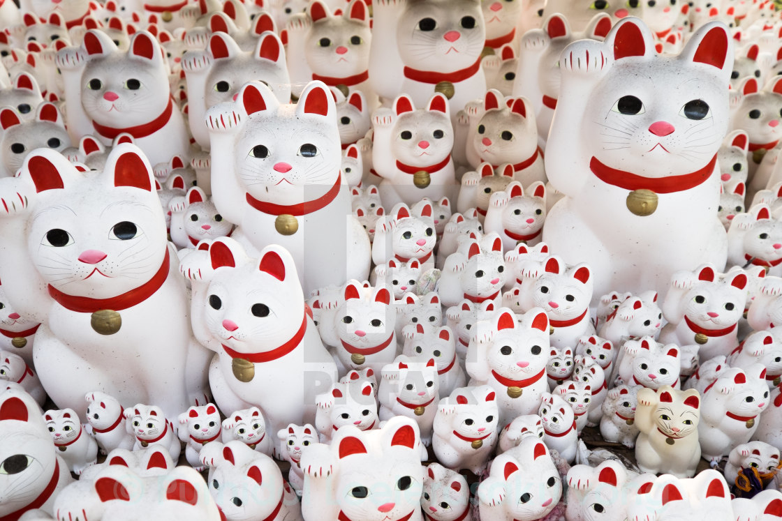 "Maneki neko also known as chinese fortune cat" stock image