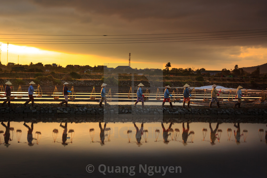 "the women are working on salt field at dawn" stock image