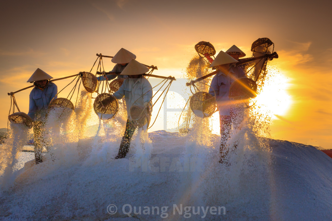 "the women are working on salt field at dawn" stock image