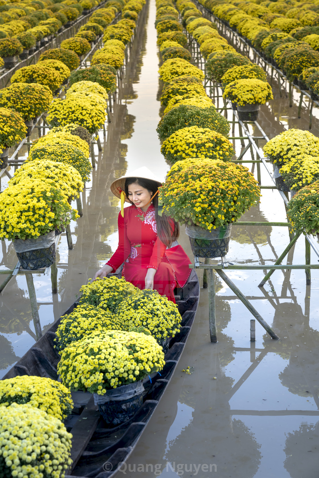 https www picfair com pics 08060412 the young girls wearing vietnamese traditional clothing ao ba ba on the sampan in yellow daisy floating farm