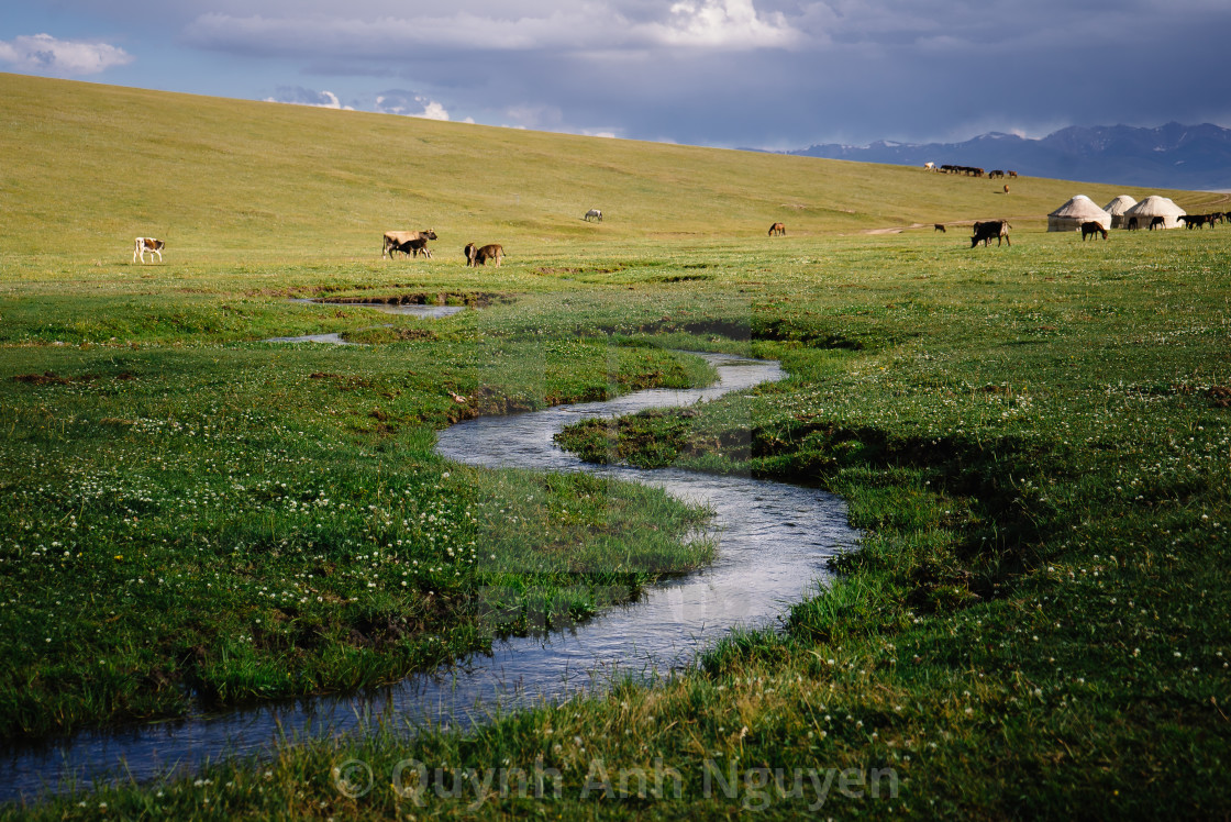 "Tien Shan summer meadows in Kyrgyzstan" by Quynh Anh Nguyen - £37.20 "Tien Shan summer meadows in Kyrgyzstan" stock image