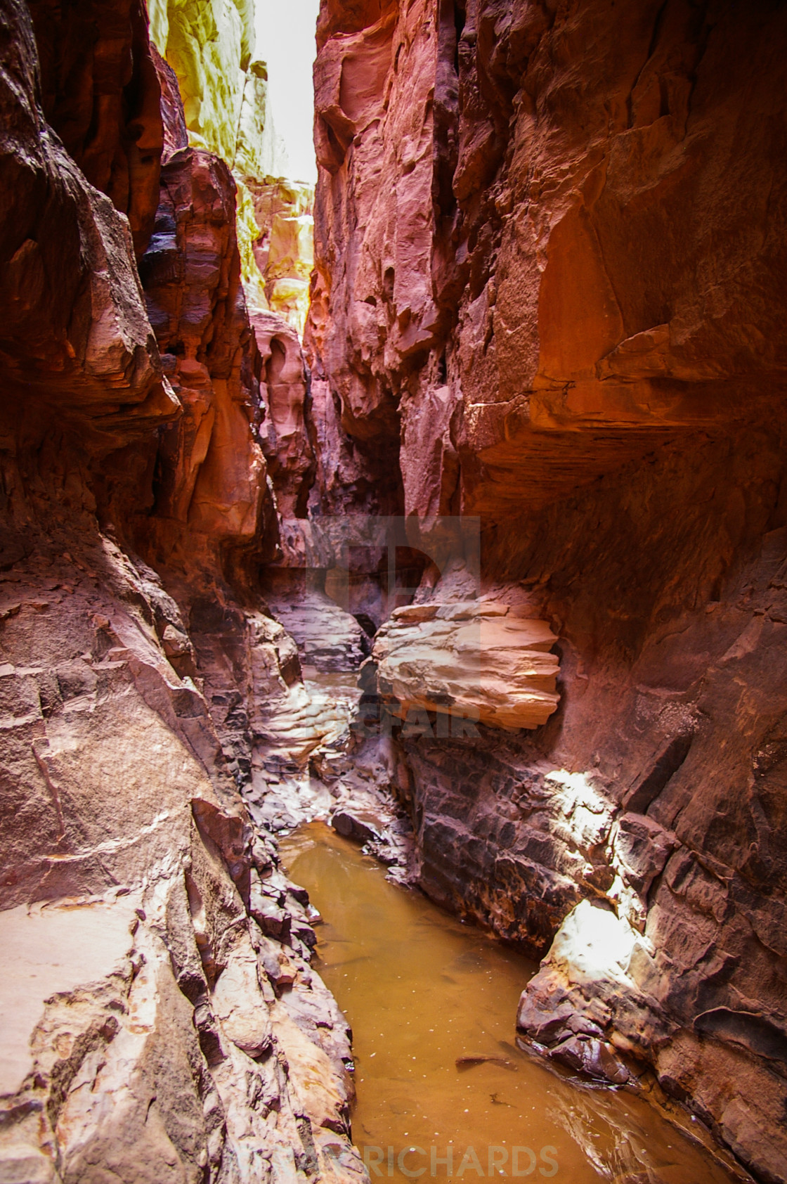 lawrence spring wadi rum