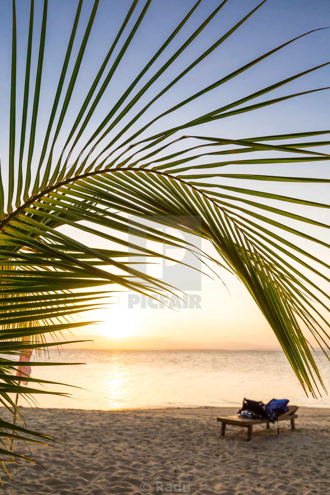 Beach Chair Under Palm Tree Leaf On A Tropical Island Near Pala License Download Or Print For 6 20 Photos Picfair