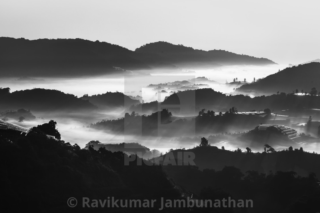 "Cameron Highlands" stock image