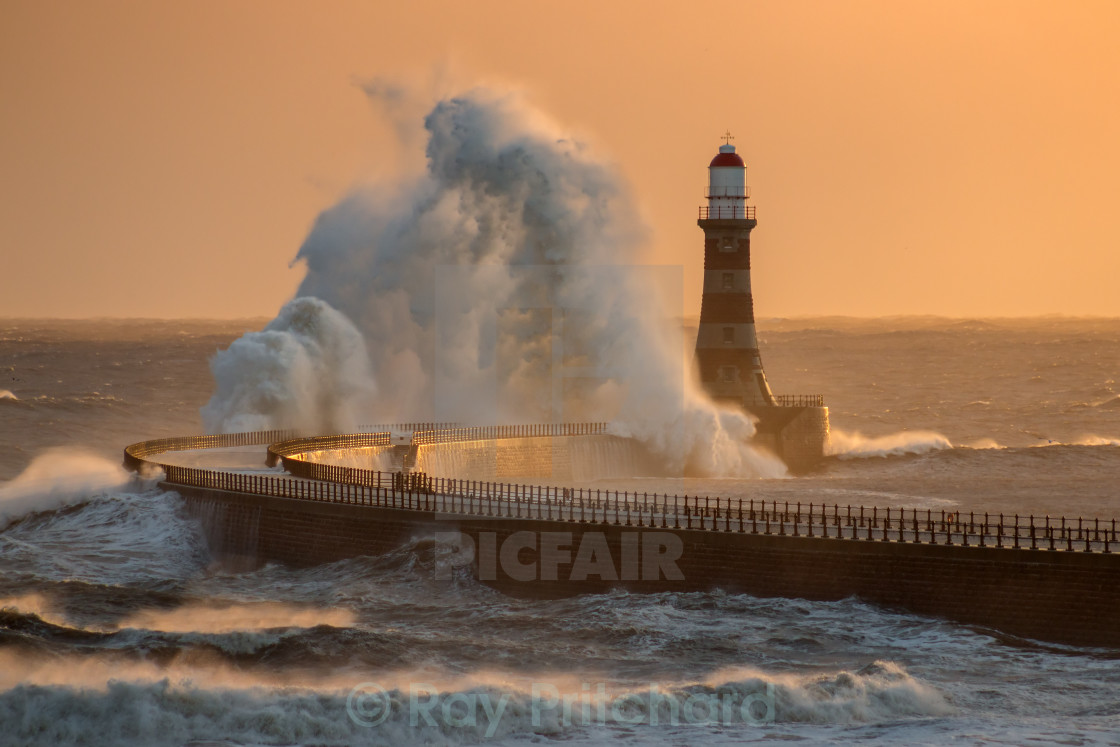 "Rough Roker" stock image