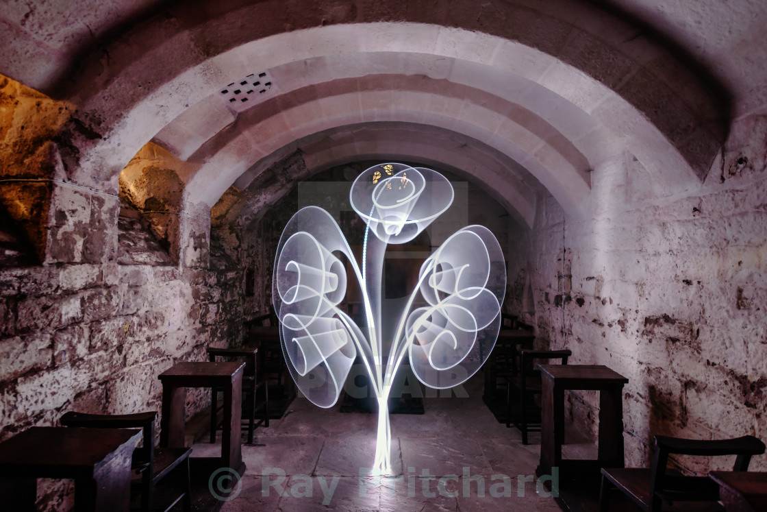 "Light Tree in the Crypt" stock image