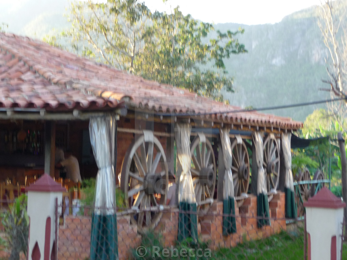 Open Air Cuban Restaurant License Download Or Print For