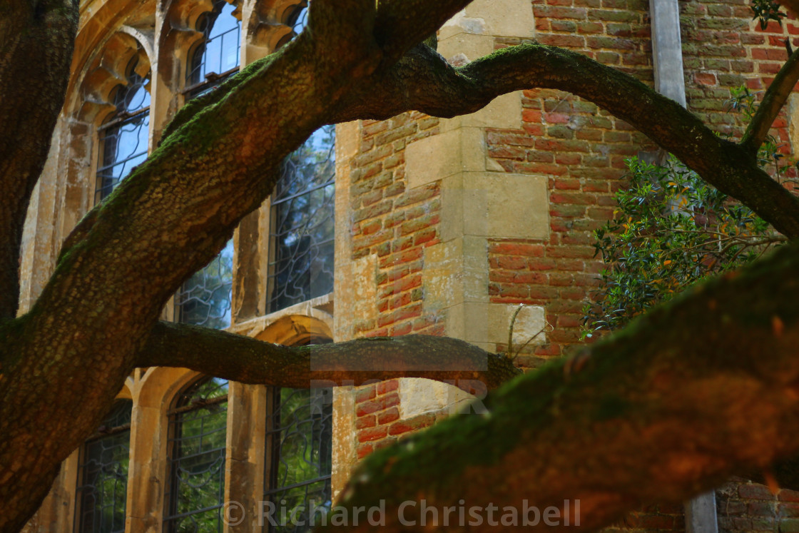 Through The Boughs License Download Or Print For 1 00 Photos
